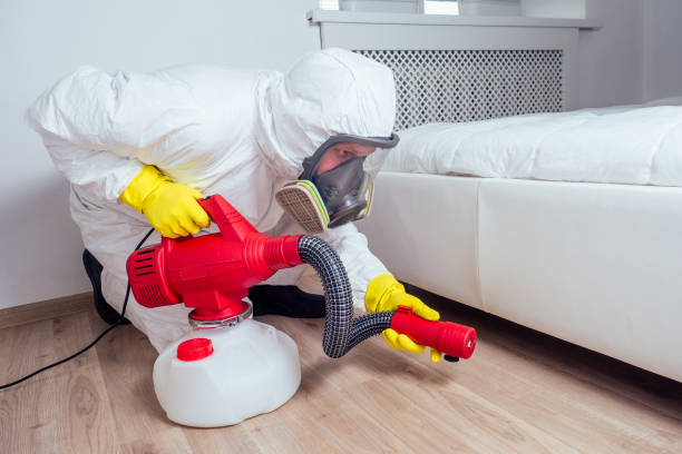 Best Residential Pest Control  in Roy, UT